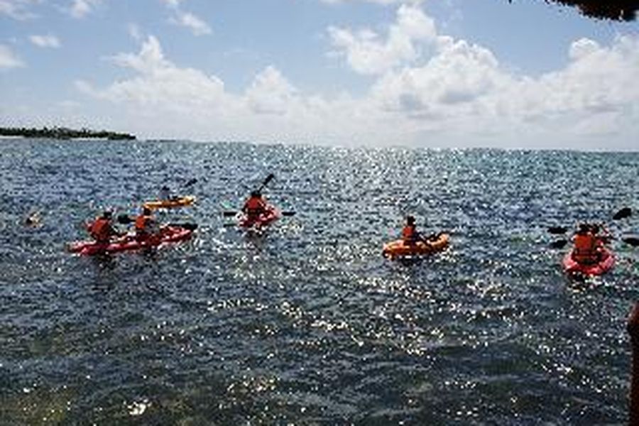 foto-0