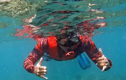 Passeio de caiaque oceânico e mergulho com snorkel em recifes em Olowalu