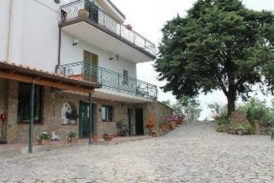 photo-3