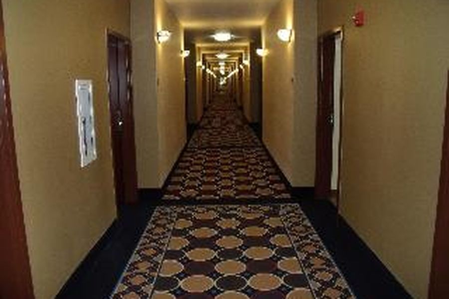 foto-1