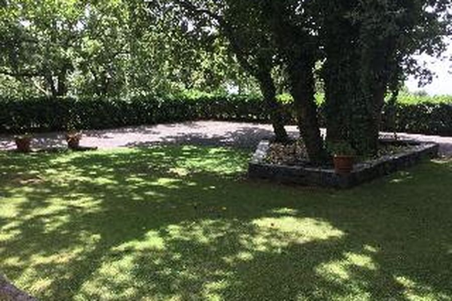 foto-3