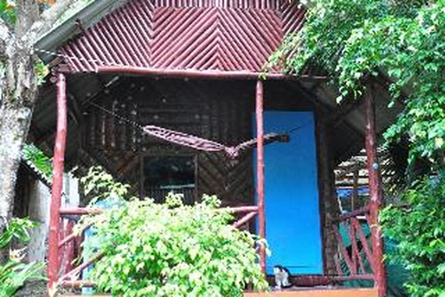 foto-2