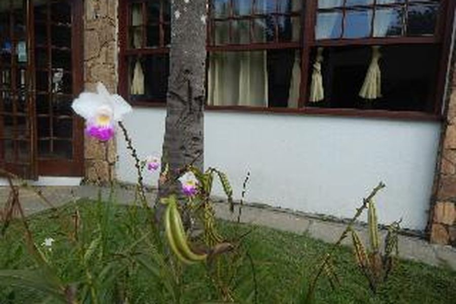 photo-3