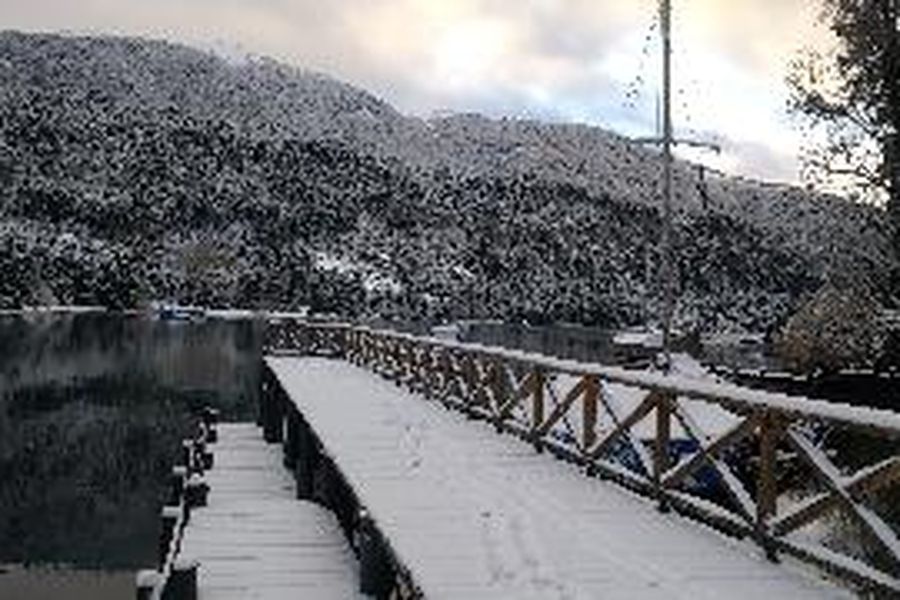 photo-3