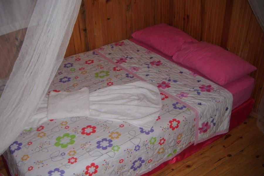 foto-1