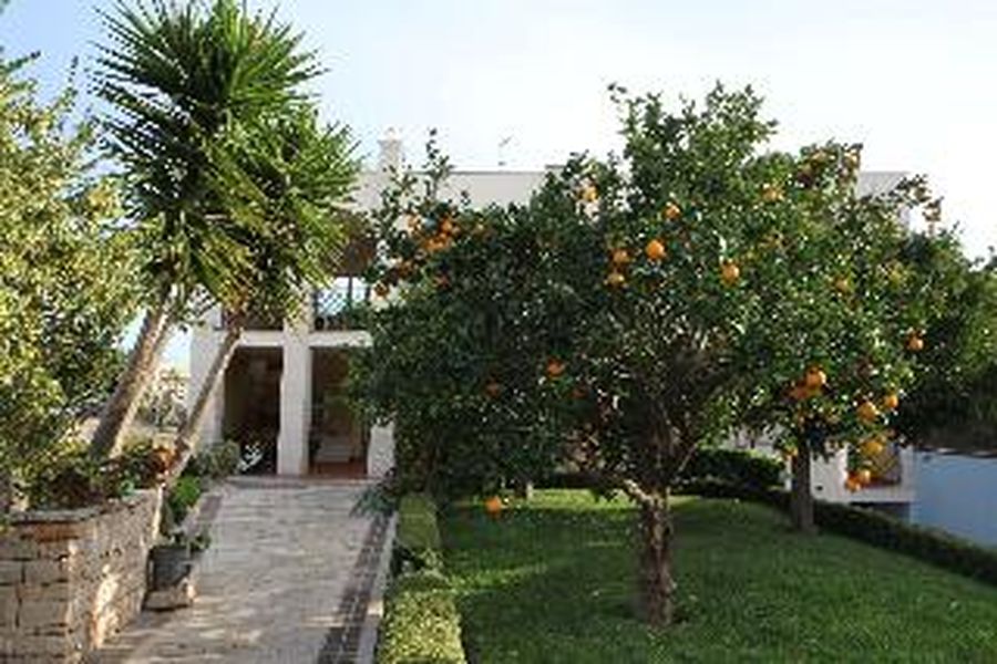 photo-2