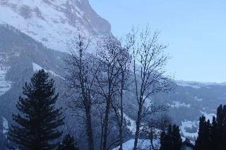 foto-1