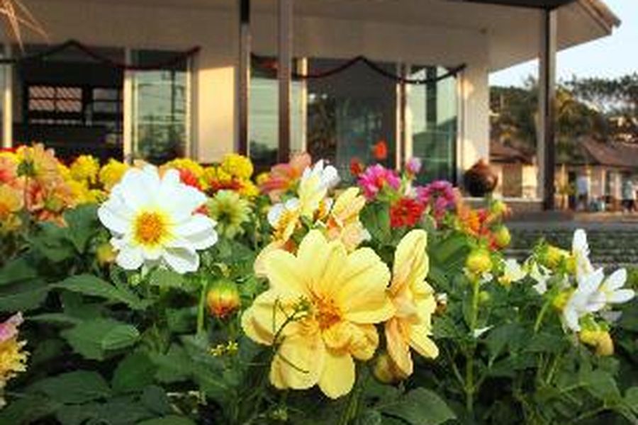 photo-2
