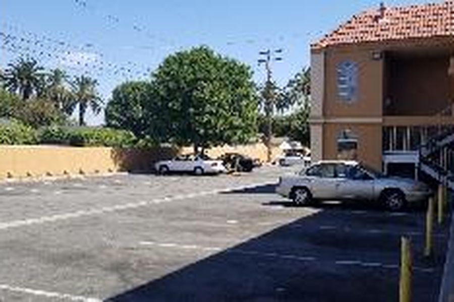 foto-1