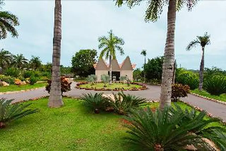 photo-3