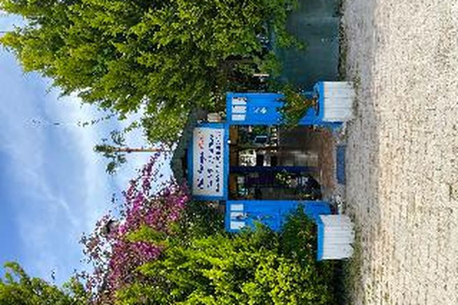 foto-2