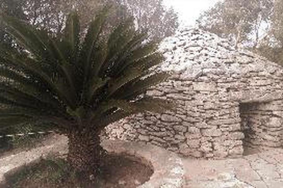 foto-1