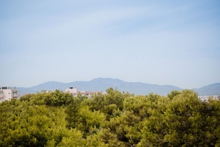 foto-0