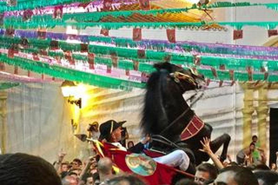 foto-2