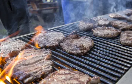 Cowboy Cookout: paseo en carreta desde Banff